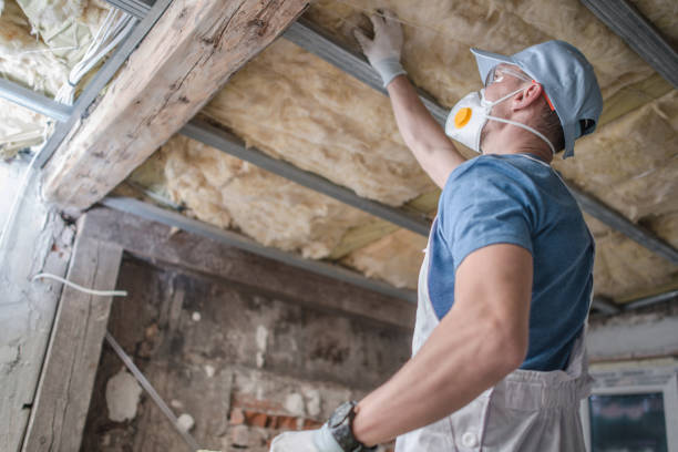 Best Insulation Maintenance and Repair in Lockport Heights, IL