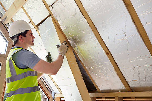 Best Insulation Installation Services in Lockport Heights, IL